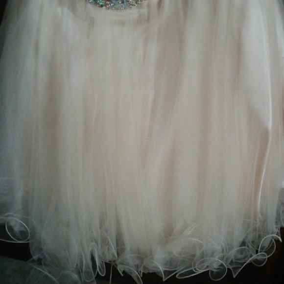 Homecoming/Formal dress - Picture 3 of 4
